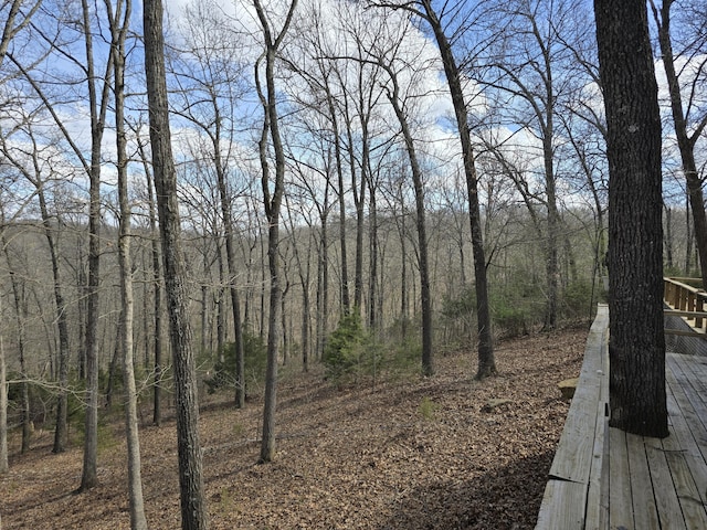 607 Sumac Ln, Marshfield, MO 65706 - view of woods