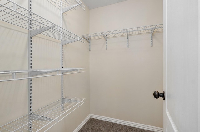 259 Aven Ave, Sparta, MO 65753 - spacious closet with carpet