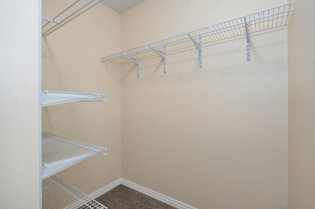 259 Aven Ave, Sparta, MO 65753 - view of spacious closet