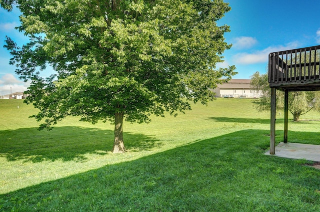 259 Aven Ave, Sparta, MO 65753 - view of green lawn with a deck