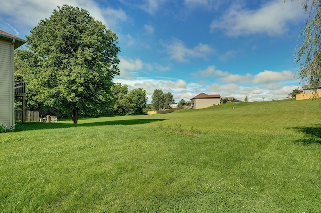 259 Aven Ave, Sparta, MO 65753 - view of green lawn