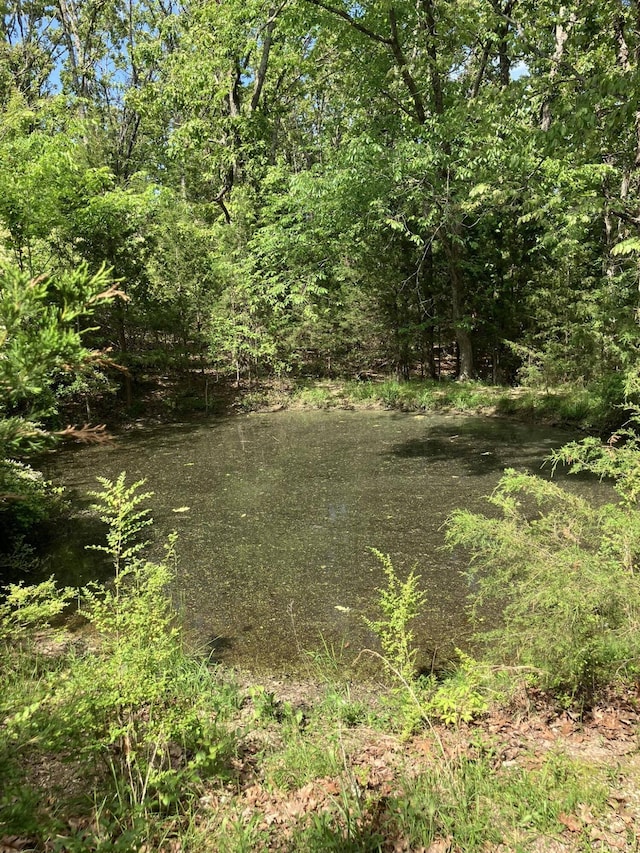 8574 County Road 6890, West Plains, MO 65775 - view of local wilderness