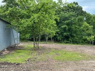 21461 Needles Eye Rd, Shell Knob, MO 65747 - view of yard