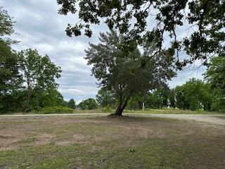 21461 Needles Eye Rd, Shell Knob, MO 65747 - view of yard