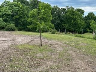 21461 Needles Eye Rd, Shell Knob, MO 65747 - view of nature