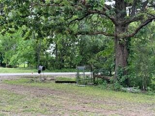 21461 Needles Eye Rd, Shell Knob, MO 65747 - view of yard