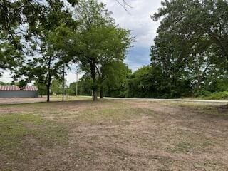 21461 Needles Eye Rd, Shell Knob, MO 65747 - view of yard