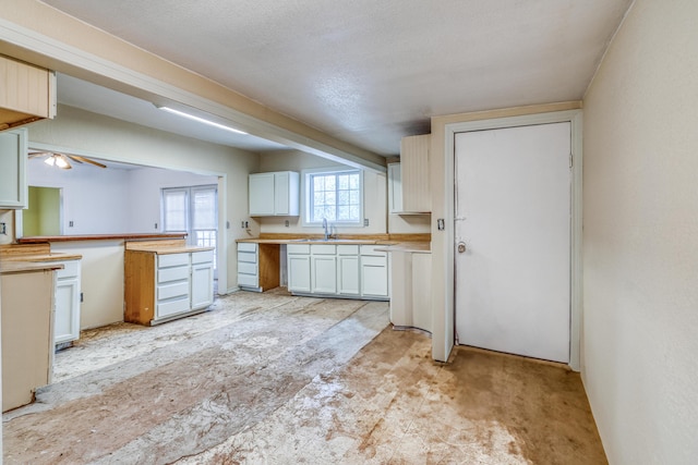 21461 Needles Eye Rd, Shell Knob, MO 65747 - kitchen with a sink, light countertops, a ceiling fan, and white cabinetry