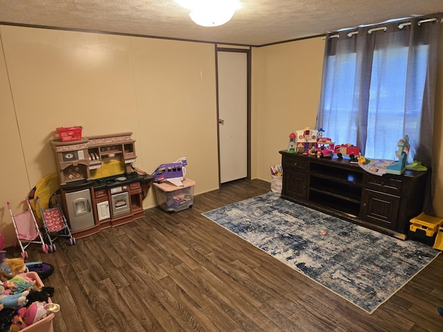 285 Lace Loop, Conway, MO 65632 - rec room featuring wood finished floors and a textured ceiling