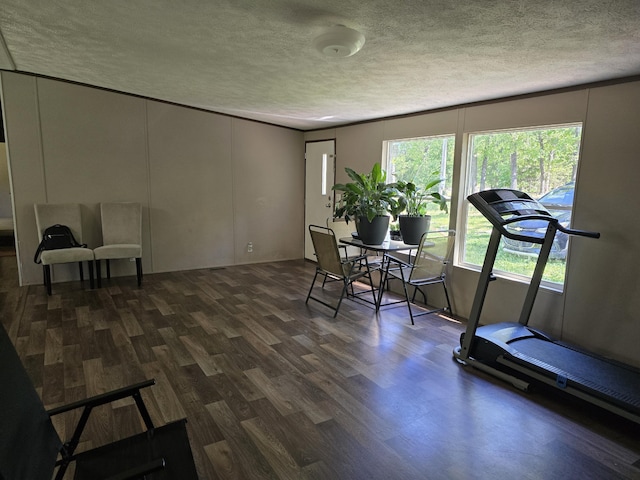 285 Lace Loop, Conway, MO 65632 - workout room with a textured ceiling, wood finished floors, and a decorative wall