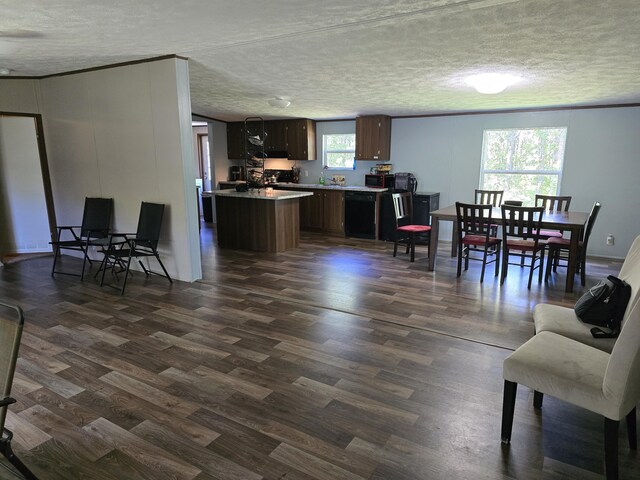 285 Lace Loop, Conway, MO 65632 - living area featuring a textured ceiling and dark wood-style floors