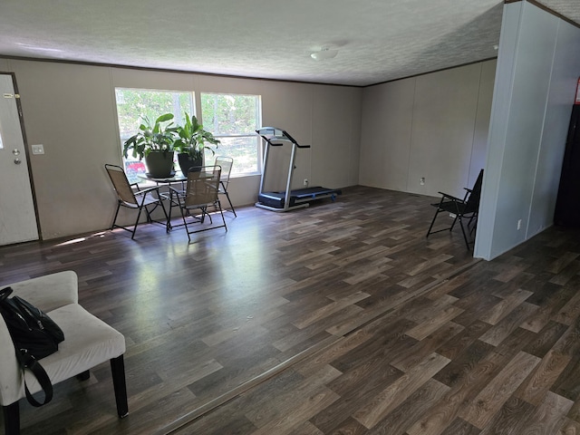 285 Lace Loop, Conway, MO 65632 - sitting room featuring dark wood-type flooring and a textured ceiling