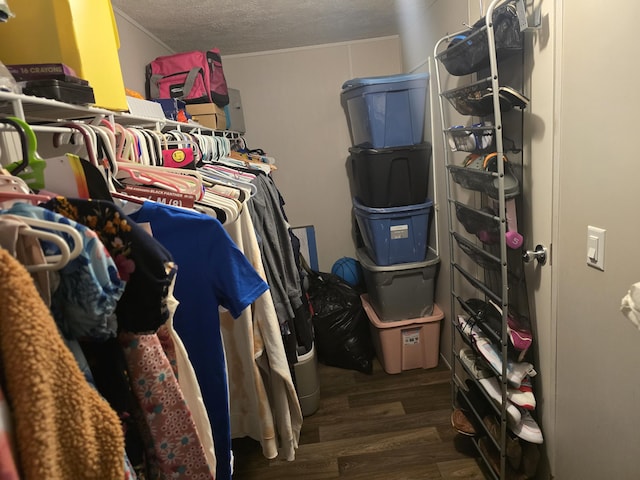 285 Lace Loop, Conway, MO 65632 - spacious closet featuring wood finished floors