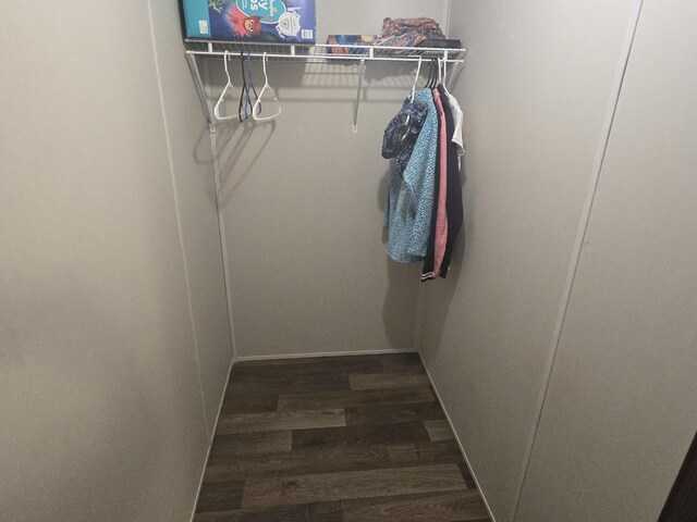 285 Lace Loop, Conway, MO 65632 - walk in closet featuring wood finished floors
