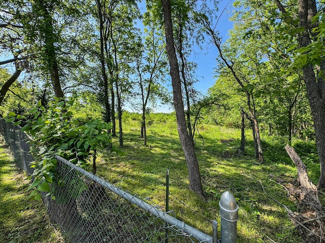 1831 E Woodbine St, Springfield, MO 65803 - view of yard