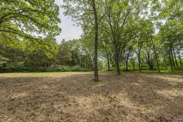 224 Loveland Dr, Rogersville, MO 65742 - view of wooded area