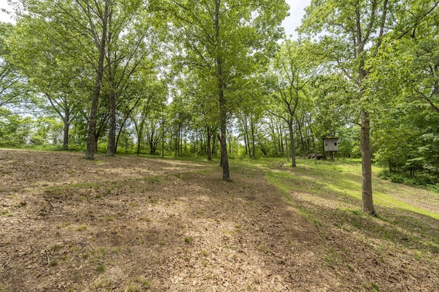 224 Loveland Dr, Rogersville, MO 65742 - view of yard