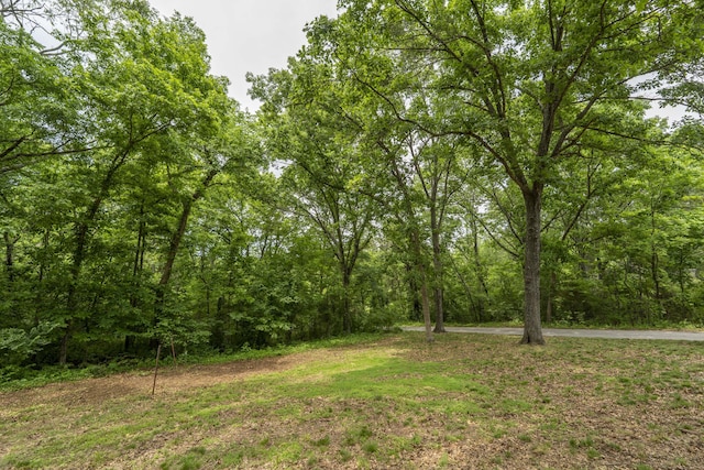 224 Loveland Dr, Rogersville, MO 65742 - view of yard featuring a forest view