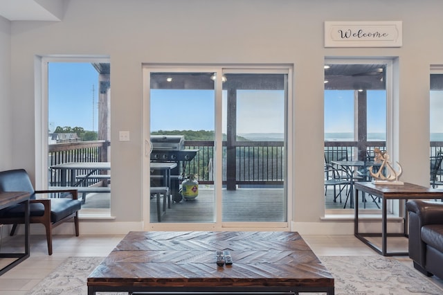 232 Chateau Mountain Hilltop Way, Branson, MO 65616 - living room featuring wood finished floors and baseboards