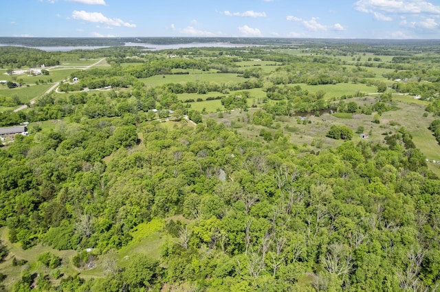15295 S 1901st Rd, Stockton, MO 65785 - bird's eye view of a forest