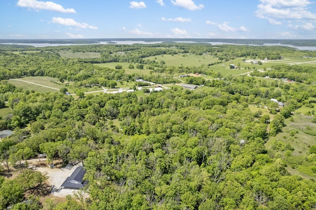15295 S 1901st Rd, Stockton, MO 65785 - bird's eye view of a forest
