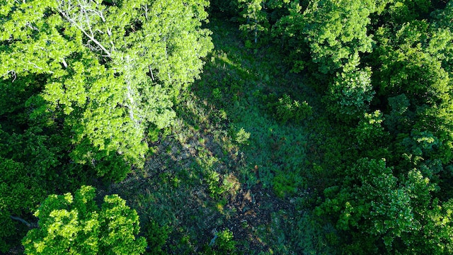 TBD Sandy Rd, Edwards, MO 65326