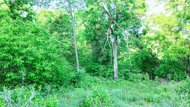 TBD Sandy Rd, Edwards, MO 65326