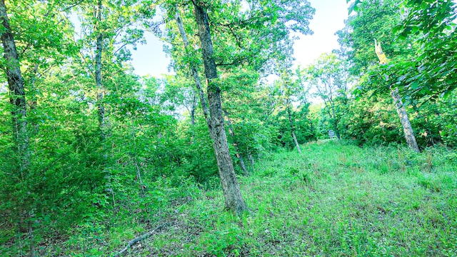 TBD Sandy Rd, Edwards, MO 65326