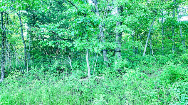 TBD Sandy Rd, Edwards, MO 65326