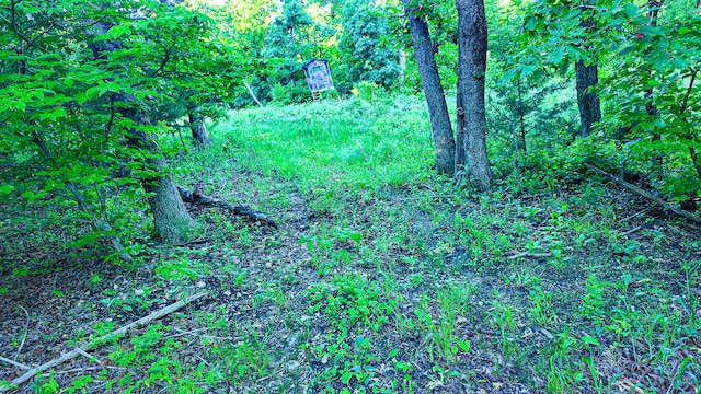 TBD Sandy Rd, Edwards, MO 65326