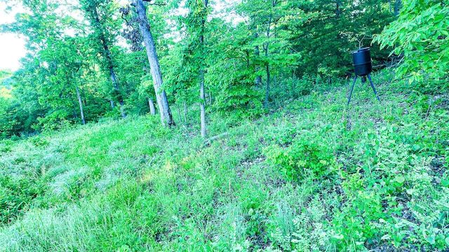 TBD Sandy Rd, Edwards, MO 65326