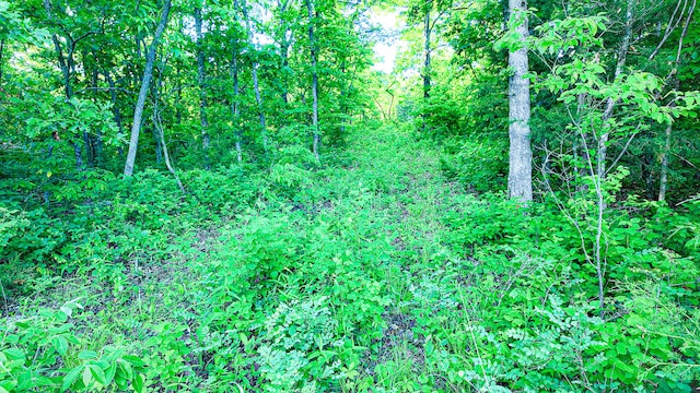 TBD Sandy Rd, Edwards, MO 65326