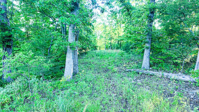TBD Sandy Rd, Edwards, MO 65326