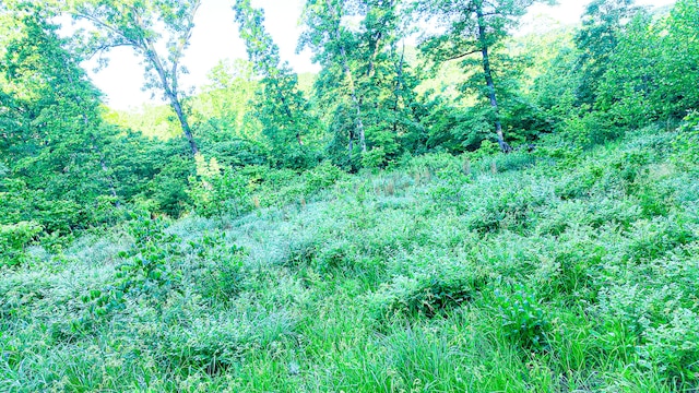 TBD Sandy Rd, Edwards, MO 65326
