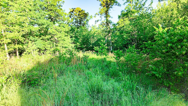 TBD Sandy Rd, Edwards, MO 65326