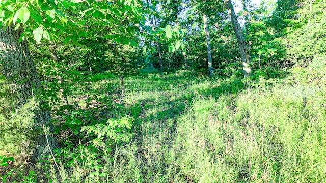TBD Sandy Rd, Edwards, MO 65326