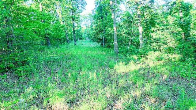 TBD Sandy Rd, Edwards, MO 65326