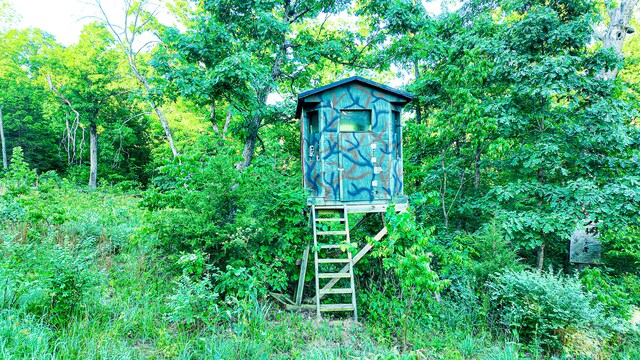 TBD Sandy Rd, Edwards, MO 65326
