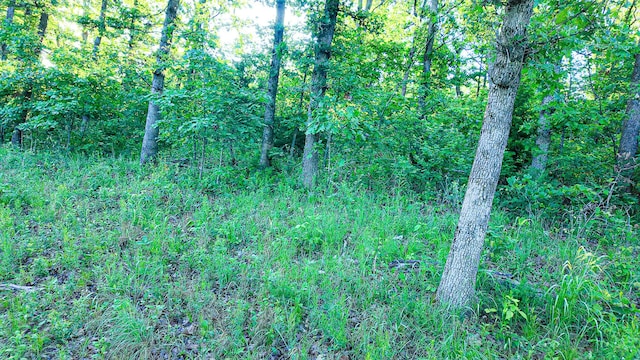 TBD Sandy Rd, Edwards, MO 65326