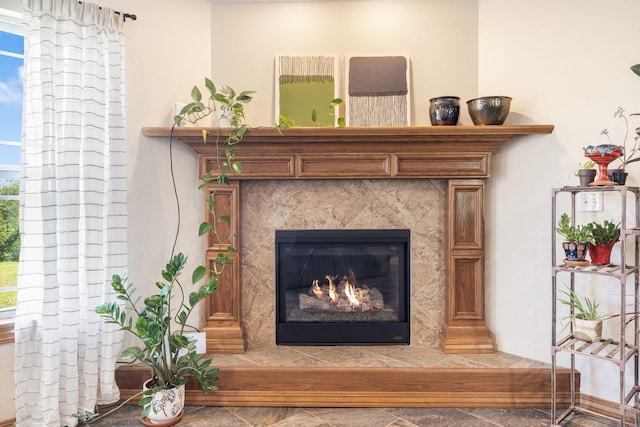 6755 W Farm Rd Unit 194, Republic, MO 65738 - detailed view of a premium fireplace