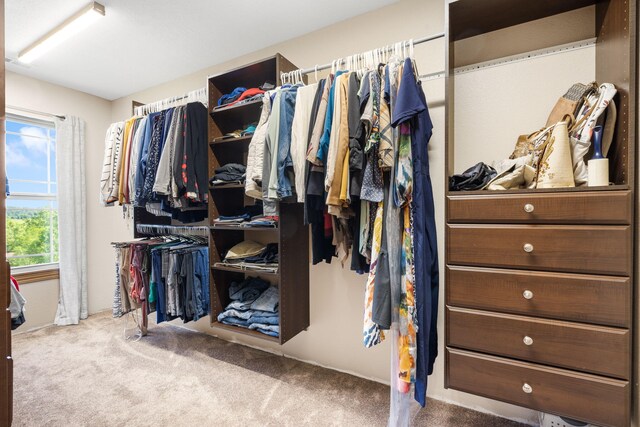 6755 W Farm Rd Unit 194, Republic, MO 65738 - spacious closet featuring carpet floors