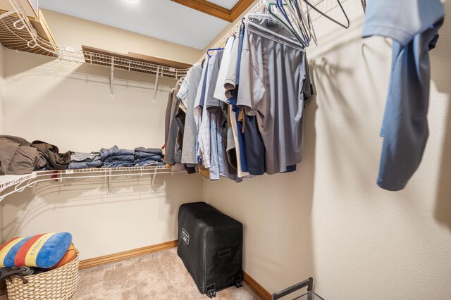 6755 W Farm Rd Unit 194, Republic, MO 65738 - walk in closet with carpet