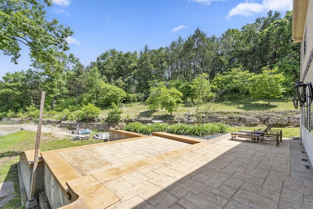 200 Barnes Ln, Branson, MO 65616 - view of patio / terrace