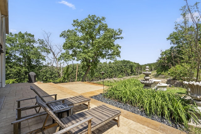 200 Barnes Ln, Branson, MO 65616 - view of patio