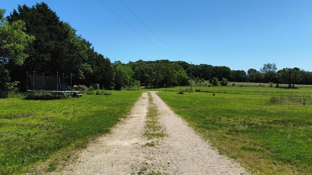 8689 County Road 7110, West Plains, MO 65775 - view of dirt / gravel road with a wooded view