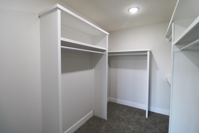 3419 S Suburban Ave, Springfield, MO 65807 - walk in closet featuring dark colored carpet