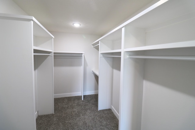 3419 S Suburban Ave, Springfield, MO 65807 - walk in closet featuring dark carpet