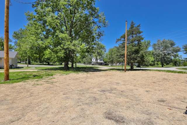 281 N 2nd St, Verona, MO 65769 - view of yard