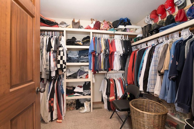 1054 W Itaska Rd, Nixa, MO 65714 - spacious closet with carpet