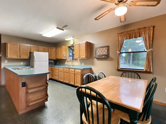 26225 Farm Rd Unit 1209, Eagle Rock, MO 65641 - kitchen with freestanding refrigerator, a sink, stainless steel microwave, a ceiling fan, and baseboards